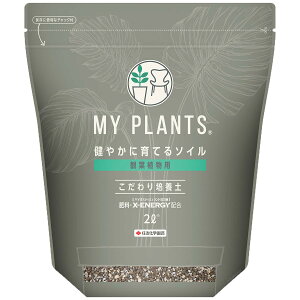 |{y MY PLANTS ₩ɈĂ\C ϗtAp |{y 2L KINCHO| |{y ϗtA |{y ϗtA̓y ϗtA y ԋʓy y |py