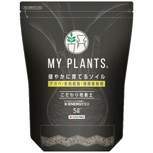 |{y MY PLANTS ₩ɈĂ\C AKxEAE򍪐Ap |{y 5L KINCHO| |{y A |{y y A y |py