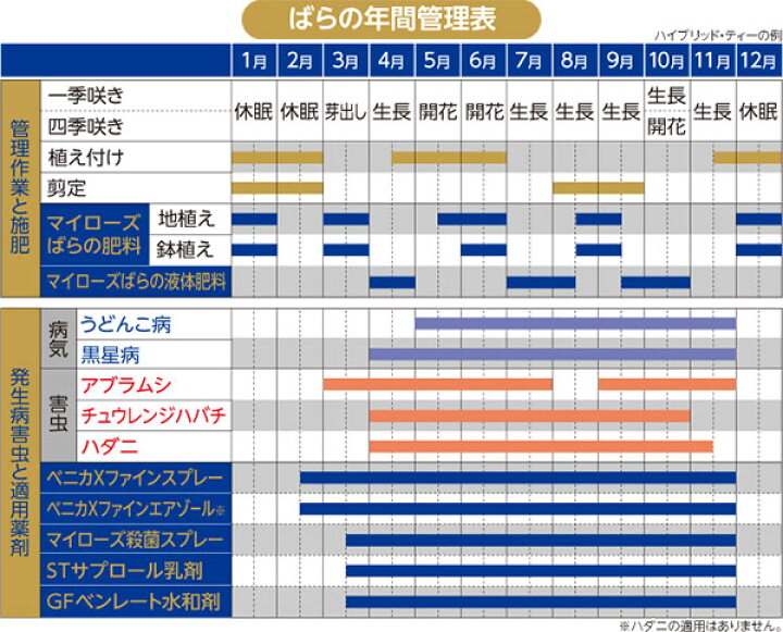 楽天市場 マイローズ Gfベンレート水和剤 2g 6袋入 住友化学園芸 ばらの病気に予防と治療 殺菌剤 M6 ワイズライフ