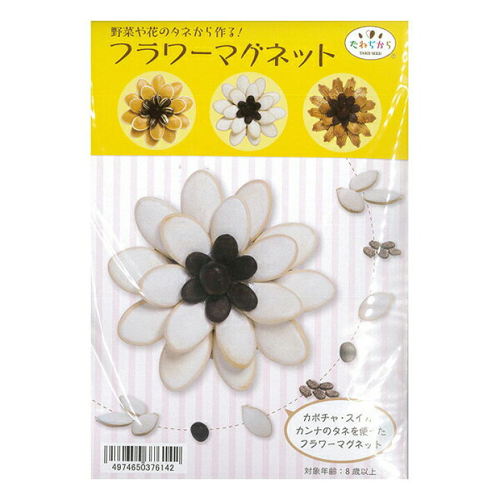 楽天市場 フラワーマグネット カボチャ 白 スイカ カンナのタネ タキイ種苗 ガーデン雑貨 M8 ワイズライフ