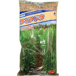 Ŏ ZthE 1kg ^LCc Ő̎ ł̎    q Ő  Ő q q  q q Ő Ɩp q  Ɩp 