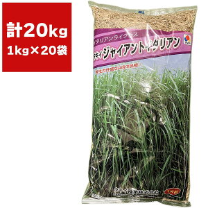 Ŏ ^LCWCAg 20kg (1kg×20) ^LCc Ő̎ ł̎    q Ő  Ő q q  q q Ő Ɩp q  Ɩp 