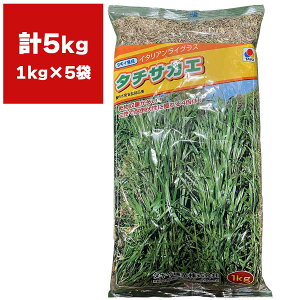 �C�^���A�����C�O���X �^�`�T�J�G 4�{�� 5kg (1kg×5��) �^�L�C��c �Δ� ��q �Δ� �� �q�� ��q �q�� �� ���� �C�^���A�����C�O���X ��q �Δ�̎�q