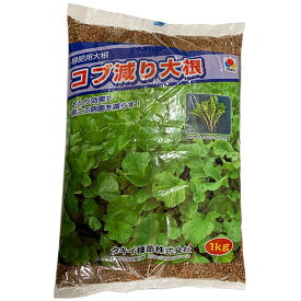 緑肥用大根 コブ減り大根 1kg タキイ種苗 緑肥種 代金引換不可 送料無料
