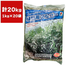 緑肥 ソルガム 緑肥用ソルゴー 20kg (1kg×20袋) タキイ種苗 緑肥 種 緑肥 種子 ソルゴー 種 ソルゴー 種子 緑肥 業務用 種子 緑肥 業務用 種 ソルゴーの種