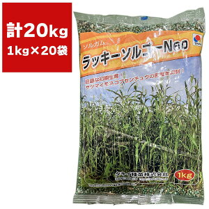 Δ \K bL[\S[Neo 20kg (1kg×20) ^LCc Δ  Δ q \S[  \S[ q Δ Ɩp q Δ Ɩp  \S[̎