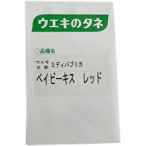 e cq pvJ xCr[LX bh (UN-506R) 100 lA pvJ  ԐF pvJ q pvJ̎    q ؂̎