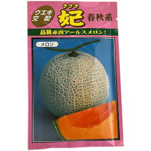 e cq  tHnԓ  100 lA    q A[Xn ̎ ̎q    q  