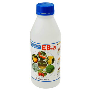 yǍ EB-a 1L щwH yǍ  yǍ Ő yǍ  yǍ A i  i  i A yǎ