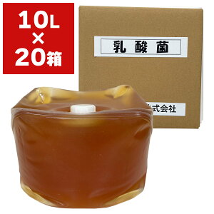 @l |p _ 10L ×20 ۋgY  i ʎ i _ i _Ɨp _ Ɩp Y  aC\h ʎ aC\h