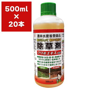  OzGLX t 500ml×20{ ԏ镨Y  OzT[g    Ɩp  t  _o^i Gh G΍