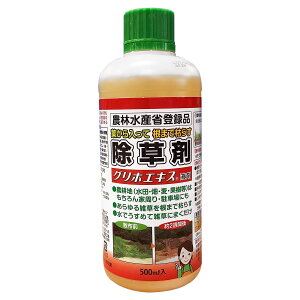  OzGLX t 500ml ԏ镨Y  OzT[g    Ɩp  t  _o^i Gh G΍