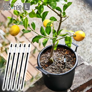 �����`�F�b�J�[ SUS-TEE(�T�X�e�B�[) L�T�C�Y �u���b�N C-0033-BK ×5�{ �L���r�m�`�F 6�`12�����p �A���p�����v M