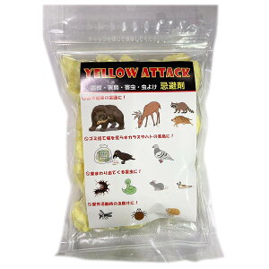 YELLOW ATTACK (CG[A^bN) 400g GA[CY  Qb  N}  CmVV  L悯 N} ΍ Qb ΍ CmVV ΍ M2