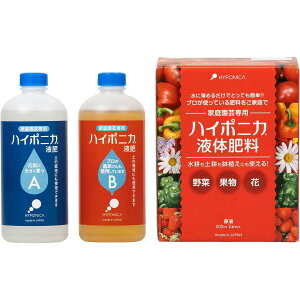 엿 nC|jJ엿 500ml a 엿  엿  엿 Ԗ 엿 nC|jJt̔엿 nC|jJ t̔엿 nC|jJ t ؂̔엿 ؔ엿 \엿