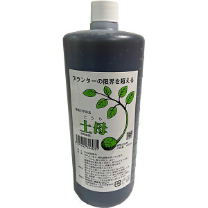 ͍ y (ǂ) 1L ZsB ͍ A ͍ o ͍  ͍ Ő ͍ A͍ ؊͍ o͍̊ ͉t 