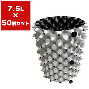 Aؔ [gvX|bg zCg 7.5L ×50 čH  ^ Aؔ e Ɩp |pi _Ǝ RootPlusPOT vX`bN