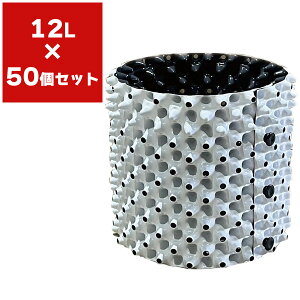 Aؔ [gvX|bg zCg 12L ×50 čH  ^ Aؔ e Ɩp |pi _Ǝ RootPlusPOT vX`bN