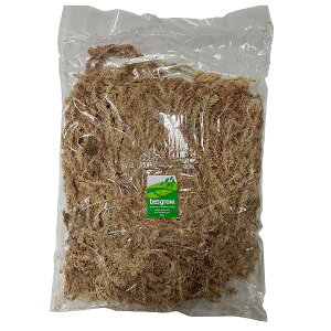 XghX 100g  Aւp A Aւ ϗtA Aݍ A Aݍ ~YSP ChAO[ | ϗtA Aւp 