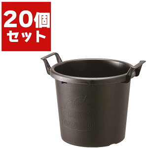 OERei 35^×20 avX`bN v ϗtA  A  Aؔ  ^   ϗtA Aؔ |pi