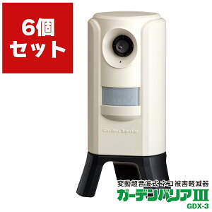 L悯 g K[foA3 ×6 GDX-3 ^JCN K[foA L悯΍ L L g nNrV  g 悯 ZT[ ǔL΍