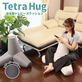 テトラ ハグ ゆる筋トレ ビーズクッション レザーダークグレーながら運動 座ったまま トレーニング 姿勢 サポート クッション 筋トレ 猫背対策 トレーニングクッション 反り腰 太もも スマホ首対策 姿勢が良くなるクッション 座り ながら ダイエット デスクワーク グッズ