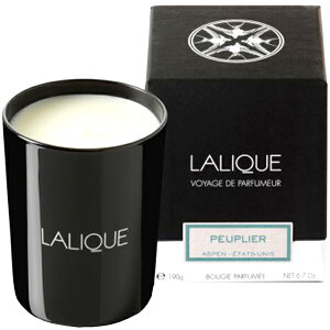 キャンドル メンズ アロマキャンドルの人気商品 通販 価格比較 価格 Com キャンドル メンズ アロマキャンドルの人気商品 通販 価格比較 価格 Com