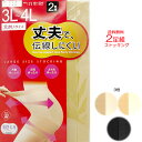 送料無料 2足組 大きめサイズ のストッキング 丈夫で伝線しにくい 3L 4L 大きいサイズ 大きなサイズ 絹さらり レディース ストッキング サポートタイプ のびのび 肌色 ベージュ 黒 ブラック 女性用 リクルート 就活 卒業式 入学式 しめつけない