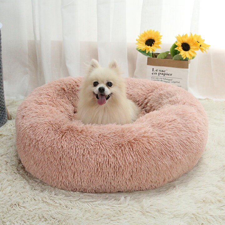 楽天市場 全品p2倍 限定100円オフ ペットベッド 猫ベッド 犬 小型犬 洗える もふもふ 60cm 猫ベッド ペットクッション ぐっすり眠る 暖かい ペットソファ 丸型 滑り止め 取り外せる かわいい おしゃれ 猫グッズ Wish Sun 楽天市場 全品p2倍 限定100円オフ ペットベッド 猫ベッド 犬 小型犬 洗える もふもふ 60cm 猫ベッド ペットクッション ぐっすり眠る 暖かい ペットソファ 丸型 滑り止め 取り外せる かわいい おしゃれ 猫グッズ Wish Sun