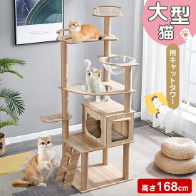 【P2倍+5%OFF】キャットタワー 猫タワー 168cm 木製 スリム 爪とぎ クリアボウル 木登り 安定 おしゃれ 据え置き 大型猫 中型 おしゃれ 省スベース 宇宙船 爪とぎ 多頭飼い 運動不足解消 麻紐 天然麻 コットン紐 キャットツリー キャットタワー 猫