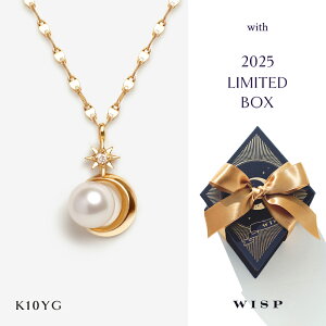 y2025 Holiday CollectionzlbNX K10 10 ^ ARp[ _Ch S[h `[t [ `[t X^[@S[h WISP EBXv WG[ ANZT[ Mtg v