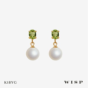 p[sAX ^ yhbg K18 18 h ꉺ CG[S[h YG VR a LO J tH[} Mtg v[g i { l WISP EBXv WG[