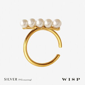 C[Jt JtO p[ 5 Cp[ w S[h a LO J v[g Mtg i ؂₩ Vo[ SV925 O Wp[ WISP EBXv WG[ v`v