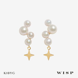 p[sAX ^ h K10 10  `[t CG[S[h l i  ޏ a av WISP EBXv WG[ ANZT[ Mtg v[g LO J X^bh