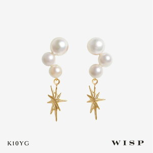 p[sAX ^ h K10 10  `[t CG[S[h l i  ޏ a av WISP EBXv WG[ ANZT[ Mtg v[g LO J X^bh