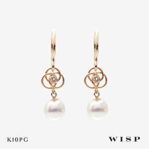 Wp[ sAX K10 10 sNS[h t[`[t tbNsAX WISP EBXv WG[ Mtg v[g h zCggp[Y