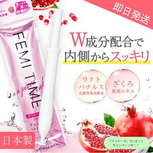 y{z FEMI TIME tF~^C 2{/4{/8{ S S ǗË@ g؂ ĝ _ 哤C\t{ qA_ ɂ L  ȒP SPA  