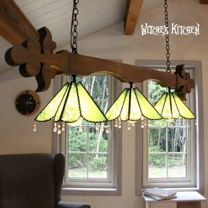 _Ng[ Ɩ  킢 VfA y_gCg 3 V[OCg y_gv XehOX v LEDΉ O[ S t[ Witche's Kitchen y Brilliant