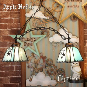 _Ng[ Ɩ  킢 VfA y_gCg 2 V[OCg y_gv XehOX v LEDΉ u[   Apple HoLic y 2Lights Capricorn Jv