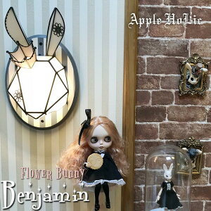 EH[Cg Ǌ|Cg uPbgCg  Ǌ|Ɩ  XehOX Ɩ KX ԐڏƖ ʏ k CeAƖ rO AeB[N Ɩ ֏Ɩ 