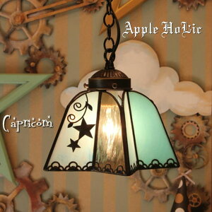  nhCh XehOX Ɩ v y_gCg  킢 V[OCg VƖ X܏Ɩ rOCg LEDΉ u[   Apple HoLic y Capricorn Jv