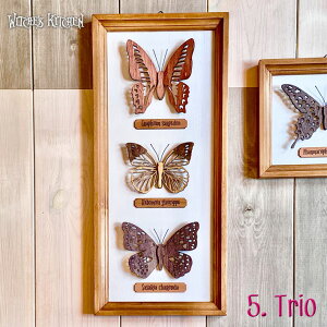 A[gt[ y butterfly display ̕W{ z Witche's Kitchen  nhCh ؐ Ǌ|