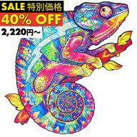 【SALE40%OFF 9/11 23:59まで】ギフトラッピング対応 正規品 UNIDRAGON ユニドラゴン 木製パズル イリデ…