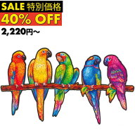 【SALE40%OFF 9/11 23:59まで】ギフトラッピング対応 正規品 UNIDRAGON ユニドラゴン 木製パズル プレイ…