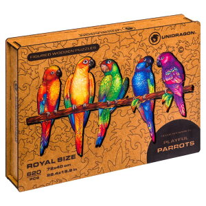 _|Cg10{10/28`11/9^ Ki UNIDRAGON jhS ؐpY vCtEpbc VэDȃIE  ؐ pY Mtg v[g A[g{[hWO\[   