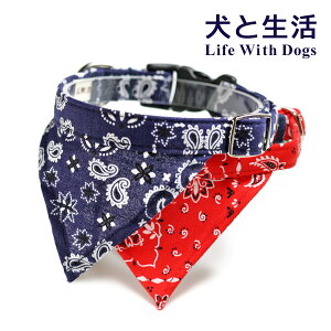  Ɛ o_i J[ XSESy^p ^pzy ցzy ^b`   lC o_iz