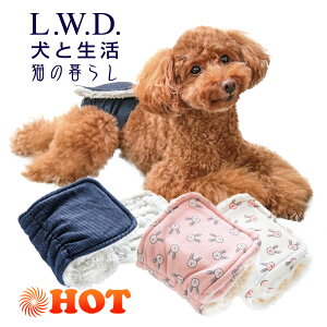 y   ͂܂ ۉ ₦ ͂܂   S S D zT[xgfjEXXS`LƐ L.W.D