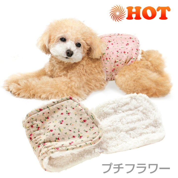 楽天市場 腹巻きサーモベルトxxs xs 犬と生活腹巻き あったか 簡単 冷え防止 ヌクヌク ボア 犬と生活 猫の暮らし 楽天市場 腹巻きサーモベルトxxs xs 犬と生活腹巻き あったか 簡単 冷え防止 ヌクヌク ボア 犬と生活 猫の暮らし