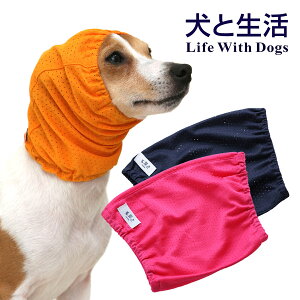 y Xk[h  bV J C  h~ Xq Ԃ H zbVJ̓Xk[h XS`XL bVŉJe܂I