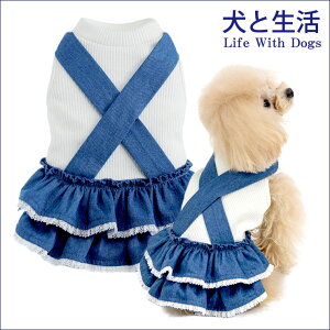 y  H~ s[X fj t 킢 JWA ̎q K[[ztfjs 1`4Ɛ L.w.d